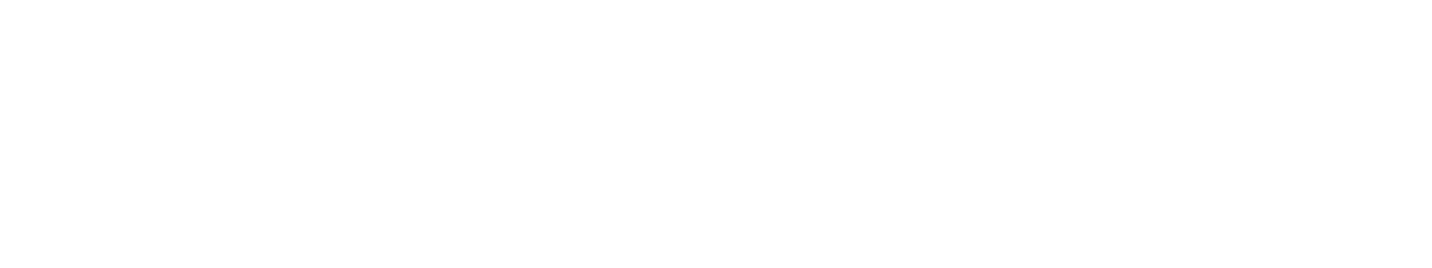 the-institute
