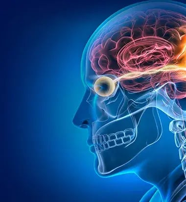 Corneal-Reinnervation-banner-mobile